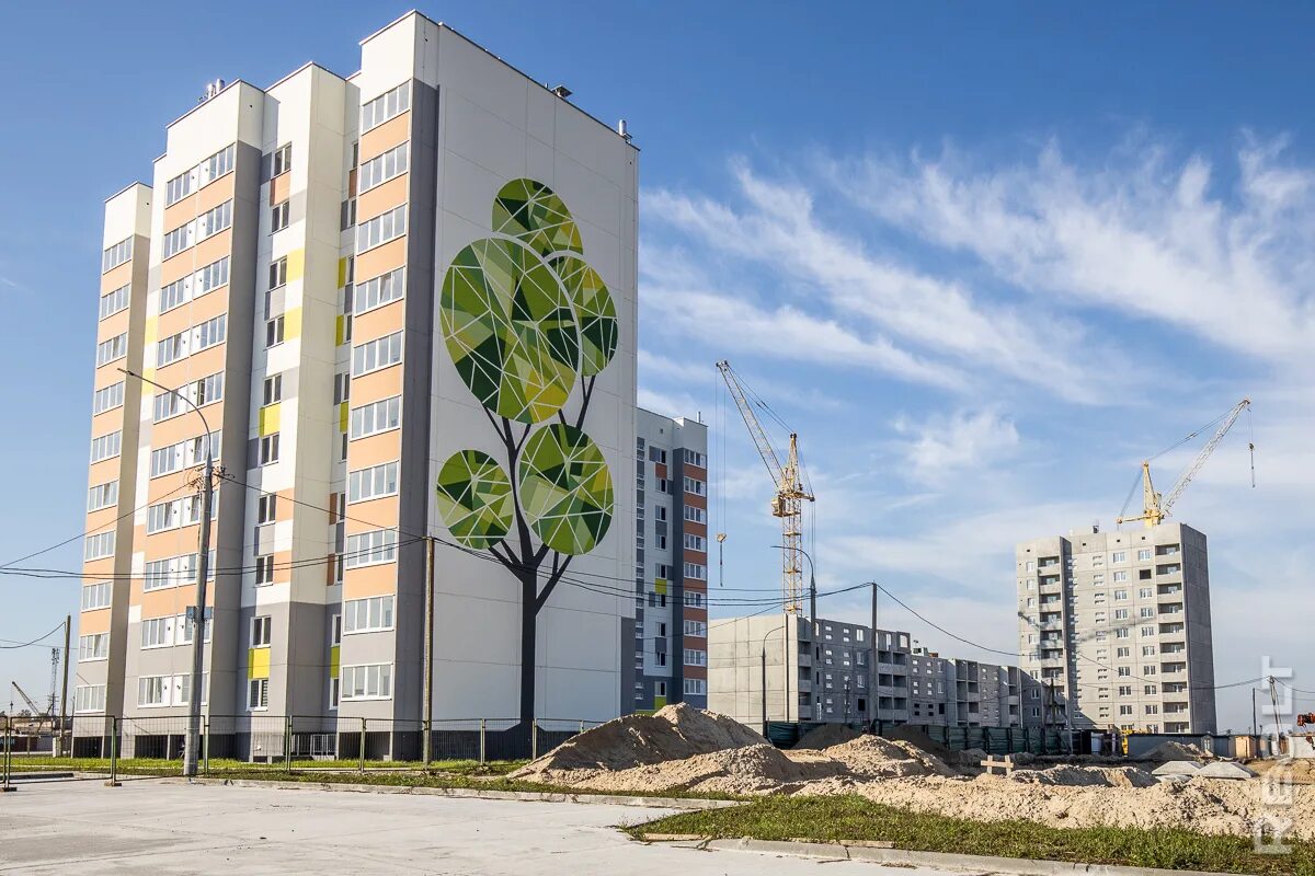 Пригород гомеля. Поселок ченки гомельский район. Гомельская цагельня. Гомель окраины. Гомельский дск.