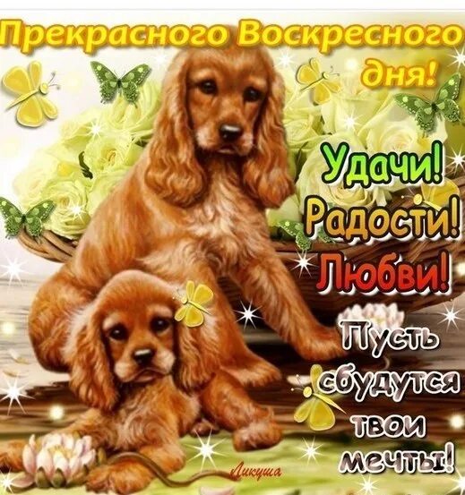 Доброго воскресного дня. Встречай воскресенье. Поздравление с воскресеньем. Хорошего летнего дня. Встречай воскресенье.