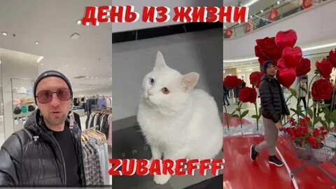 Стример живу