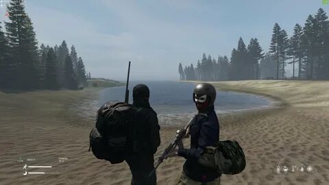 Dayz stalker anomaly