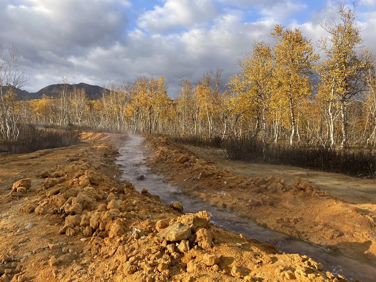 теплый ручей вологодская область родник. в течении реки. ручей теплый каменское. теплый ручей. теплый ручей хмао.