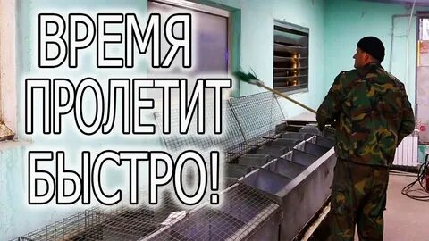 В гостях у дяди саши последнее видео