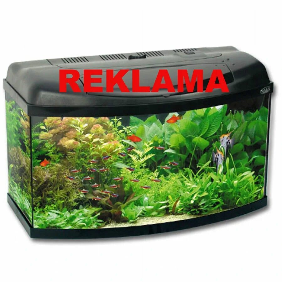 Аквариумы л. Аквариум Aquael aqua4home 50. Аквариум Aquael Pearl 50. Аквариум Aquael Pearl 100. Аквариум Aquael Pearl 45 литров.