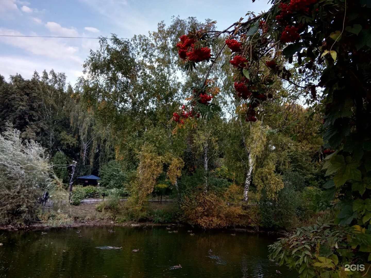 Игуменский парк Томск. Игуменский парк. Беседка. Игуменское озеро Томск. Озеро в Северном парке Томск.