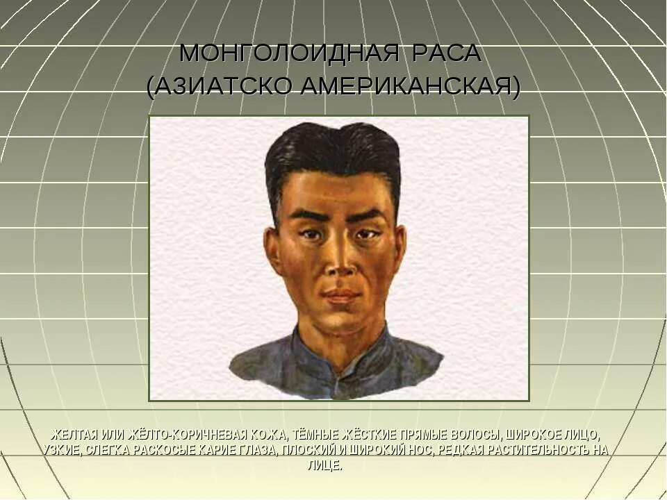 Монголоидная (Азиатско-американская) раса. Южная монголоидная малая раса. Североазиатская монголоидная раса. Происхождение монголоидной расы человека.