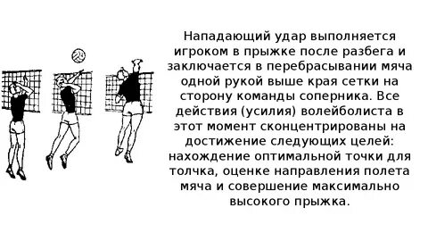 Техника нападающего в волейболе