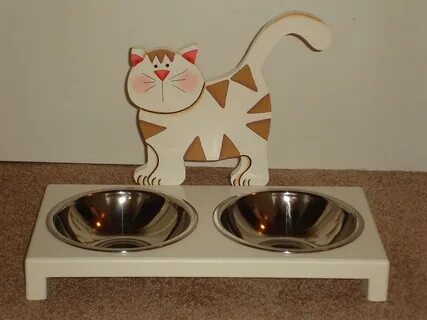Empty cat
