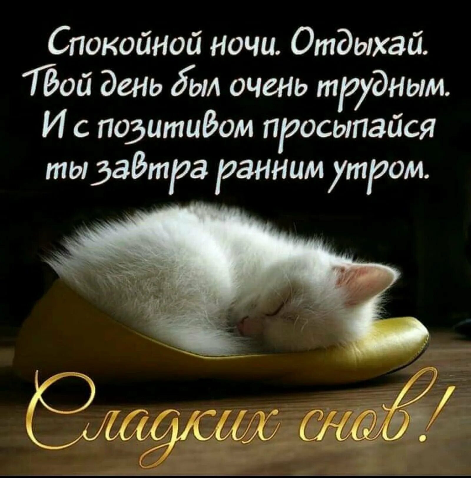 Поздравления доброго утра доброй ночи. Пожелания спокойной ночи. пожелания спокойной ночи девушке. спокойной ночи сладких снов. открытки спокойной ночи.