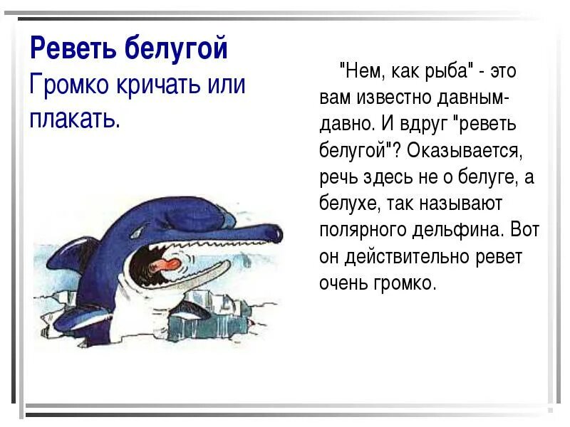 Биться как рыба об лед значение фразеологизма. Реветь белугой фразеологизм. реветь белугой значение фразеологизма. фразеологизмы со словом рыба. фразеологизмы про рыбу.