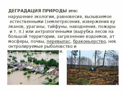 Деградация окружающей среды