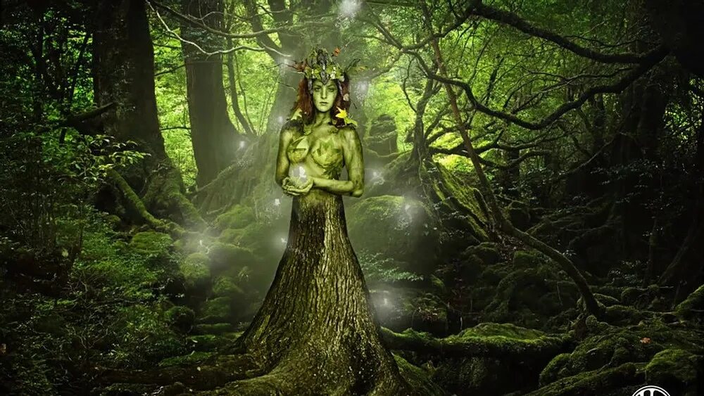 йога дерево вектор. люди элемента дерево. дерево в руках. корни дерева. повелительница природы.