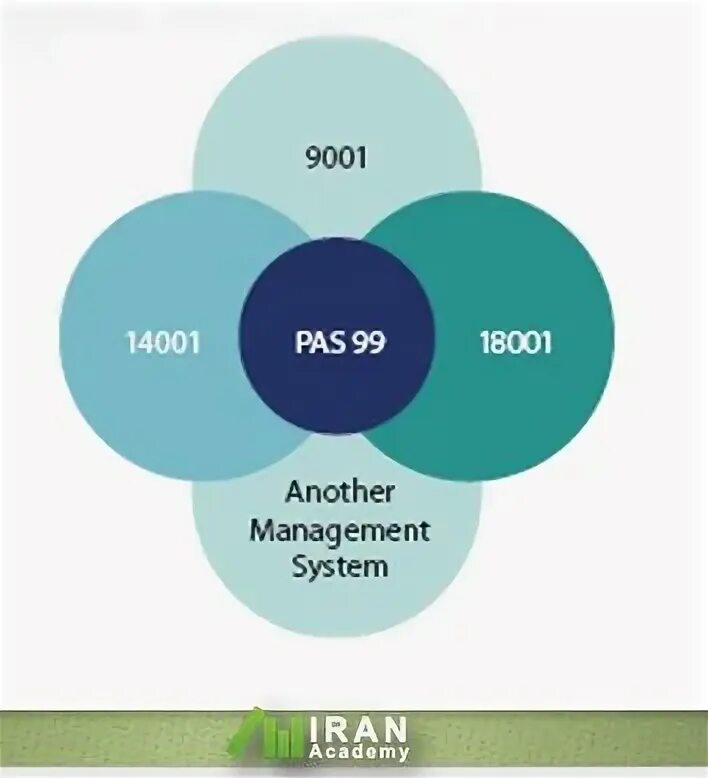 Pas file. Pas 99 2012 интегрированная система менеджмента. pas.