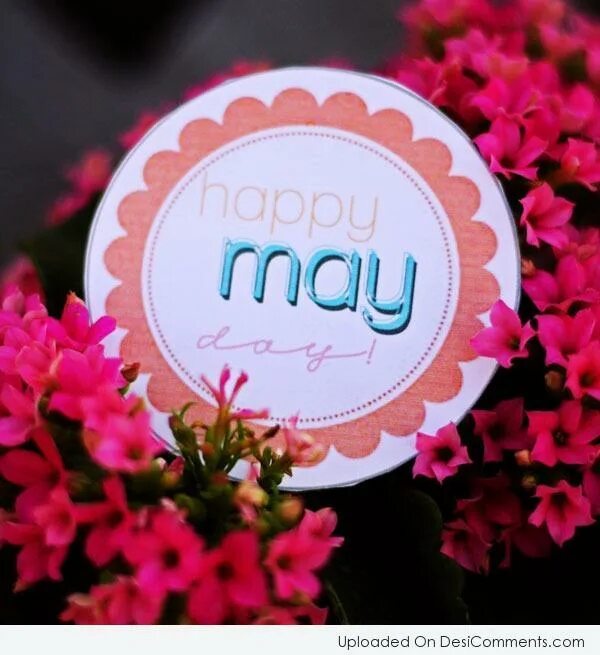 Happy may day. Happy May. Happy Mayday. Happy first May. May Birthday.