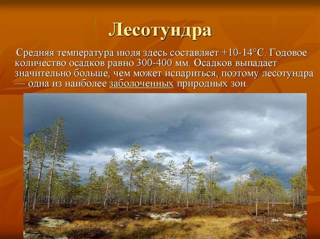 Зона лесотундры климат. Тундра и лесотундра климат. Лесотундра природная зона климат. Лесотундра климат 4 класс. Осадки в зоне тундры