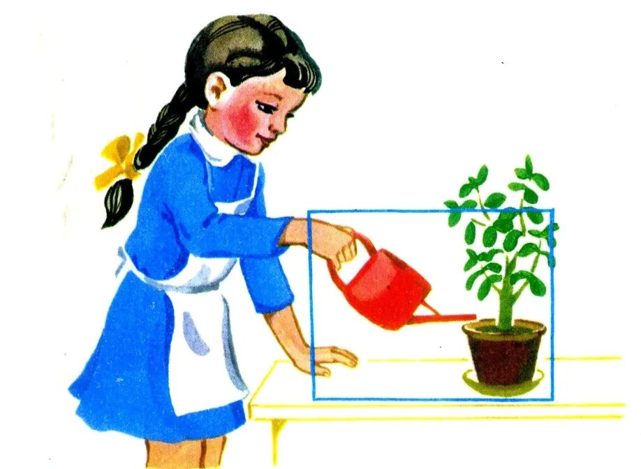 Девочка поливает цветы. Полив растений для детей. Цветы для сада и огорода. Картинка поливаю цветы. Дети поливают цветы.