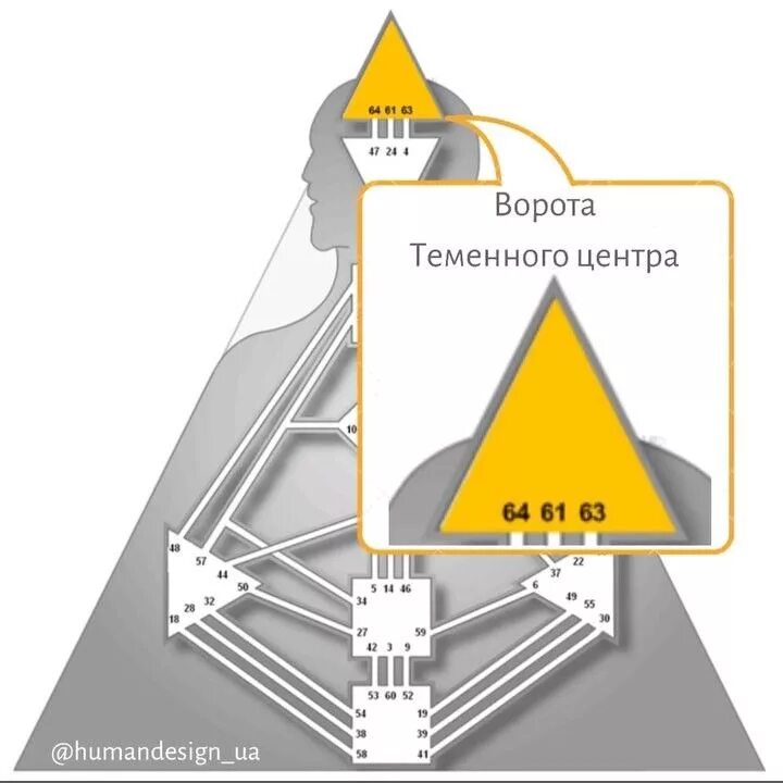 Горловой центр. Теменной центр в дизайне человека. Ворота в дизайне человека. Центры в дизайне человека. Теменной центры бодиграф.