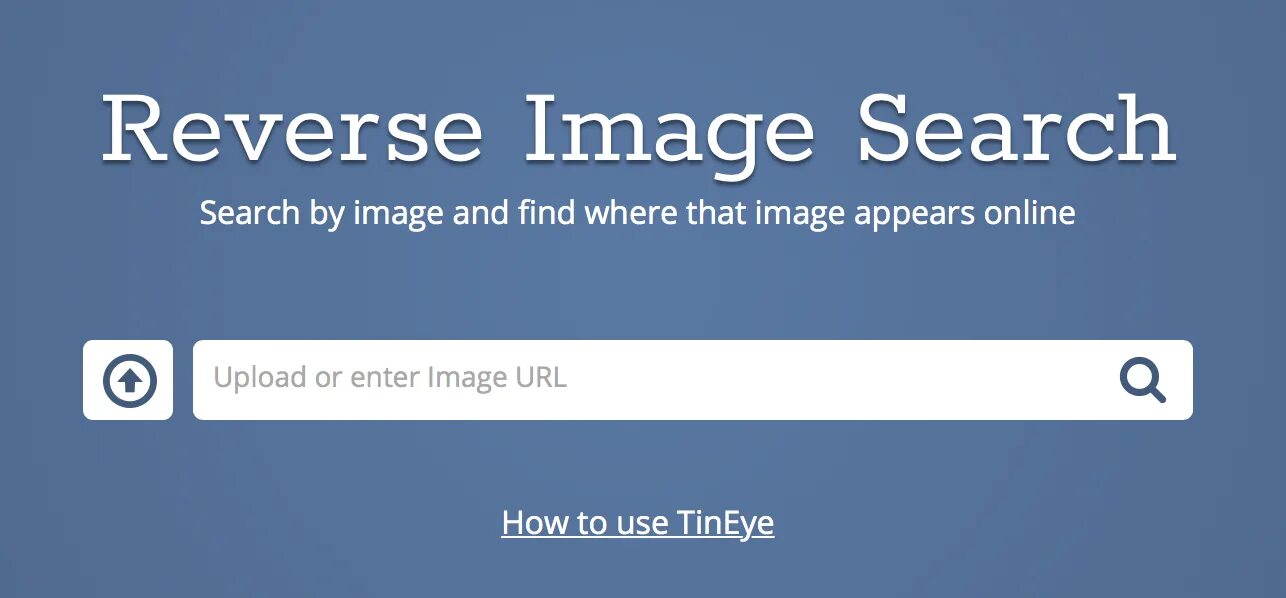 Photo search. Reverse image search face. Find out where your face appears online. Protect your image rights with pimeyes!.