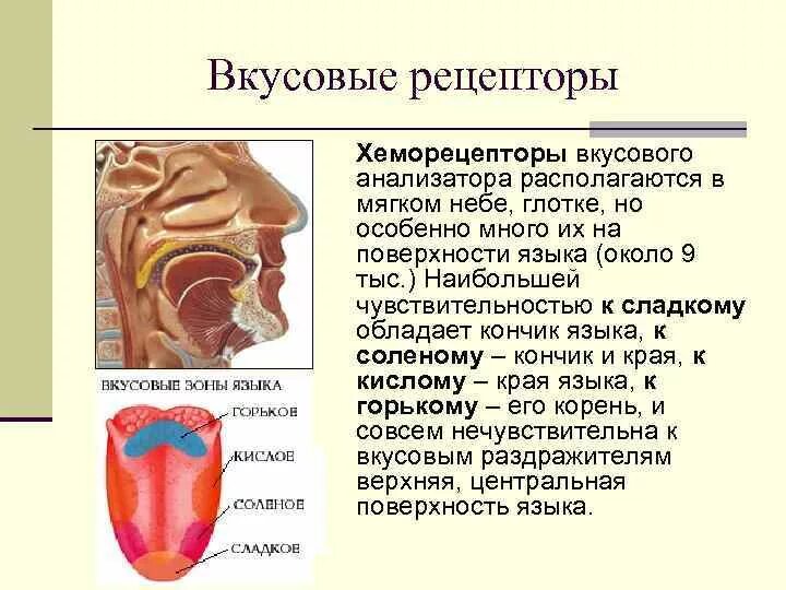 Чувствительность глотки