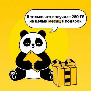 Потому что это моя первая