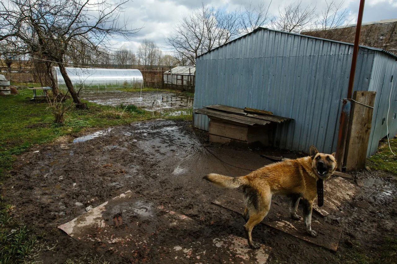 Уровень воды в жиздре козельск сегодня. Затопления в Козельске. Огород дома. Уровень воды в Жиздре Козельск. Поселок стеклозавод Козельский район.