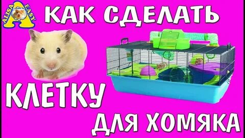 Как сделать деньги в хомяке