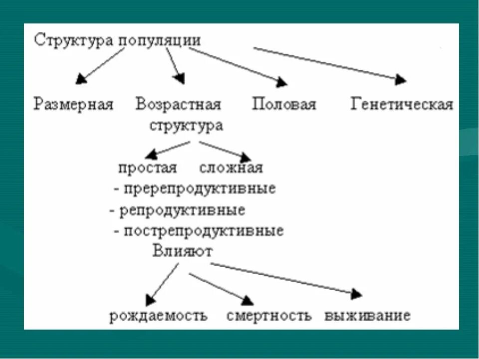 популяция структура свойства. характеристики популяции. основная характеристика популяции. простая структура популяции. признаки и структура популяций.