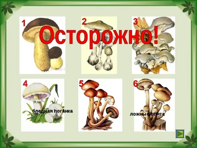 Проект подробнее о лесных опасностях Презентация на тему: ""Крестики-нолики" Медведева С.В., учитель биологии МБОУ "О