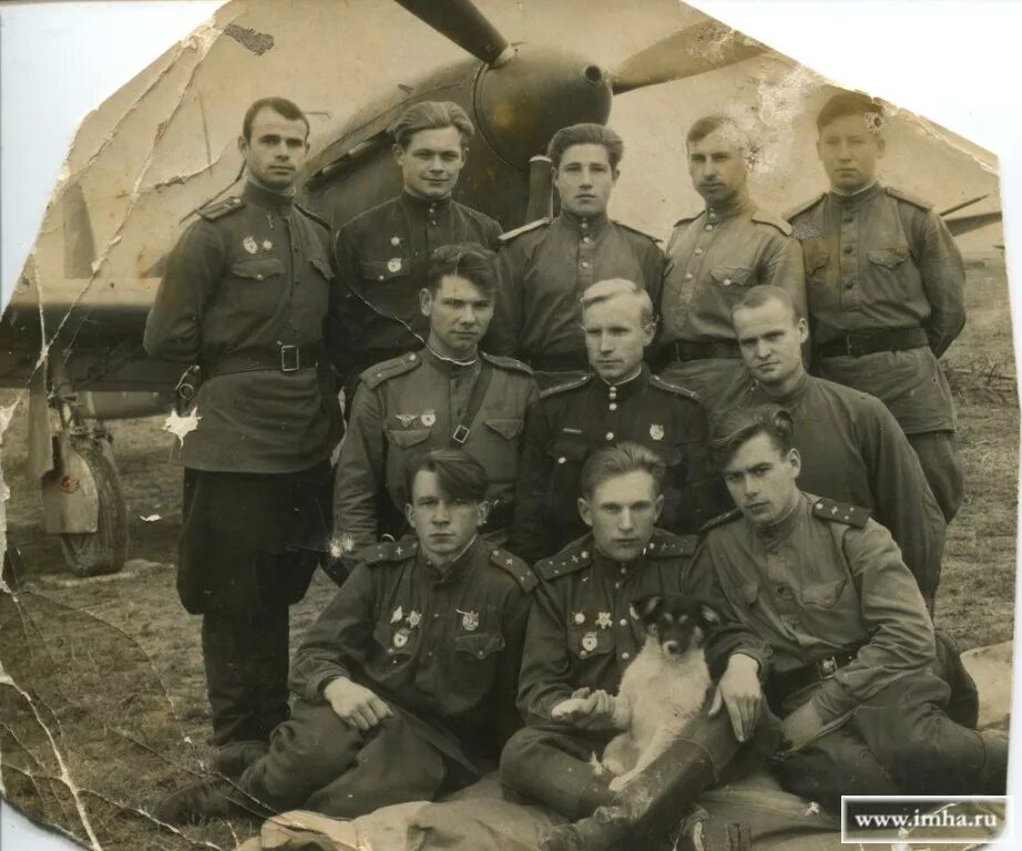 118 гвардейский штурмовой авиационный полк. Шап 3. 825 штурмовой авиаполк. Шап 3. 707 штурмовой авиационный полк.