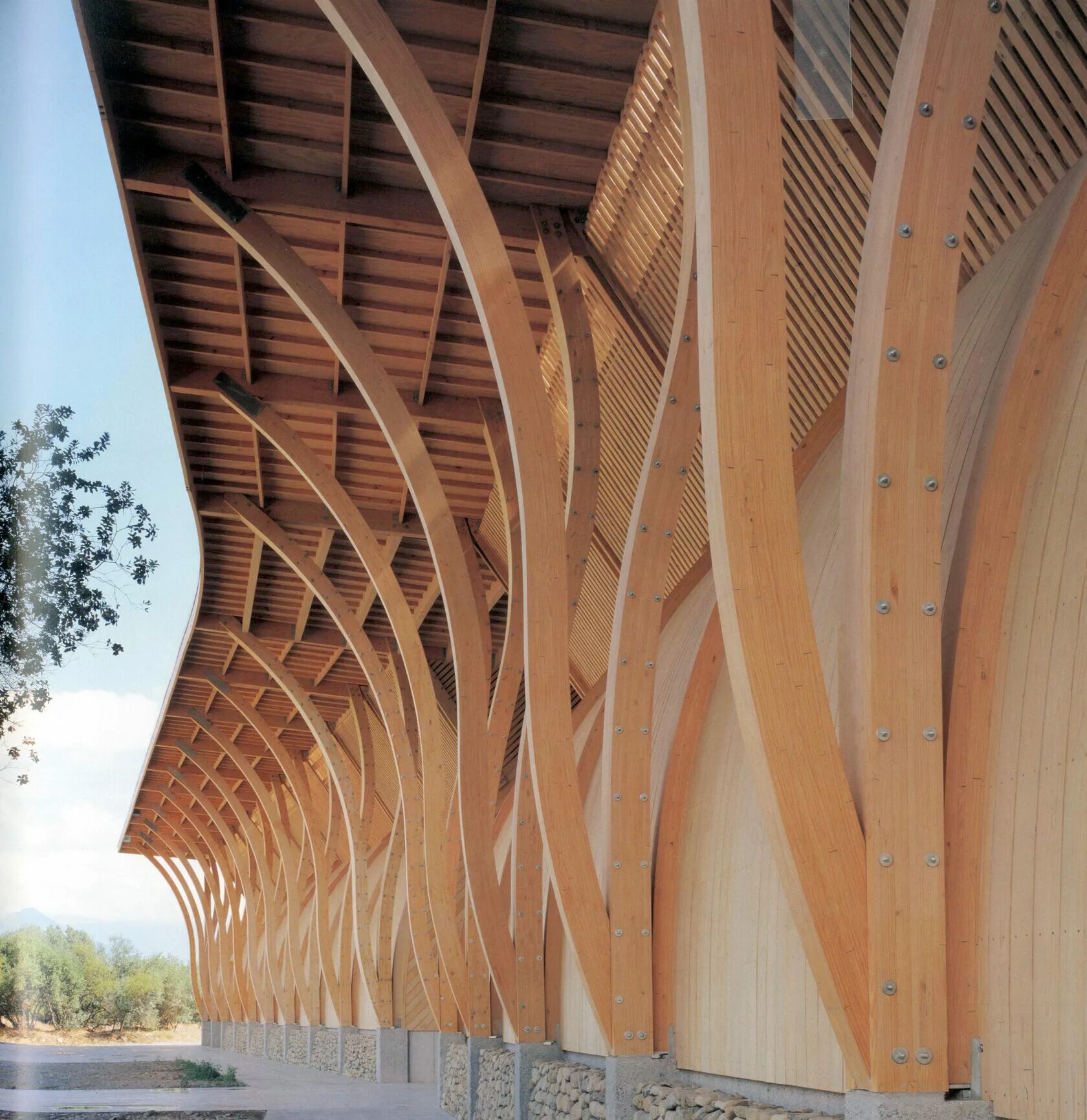 гнутоклееные большепролетные балки. фостер большепролетные конструкции. тимбер фрейм фермы. линзообразная ферма деревянная. деревянный клееный.