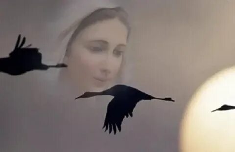 Не будите журавли