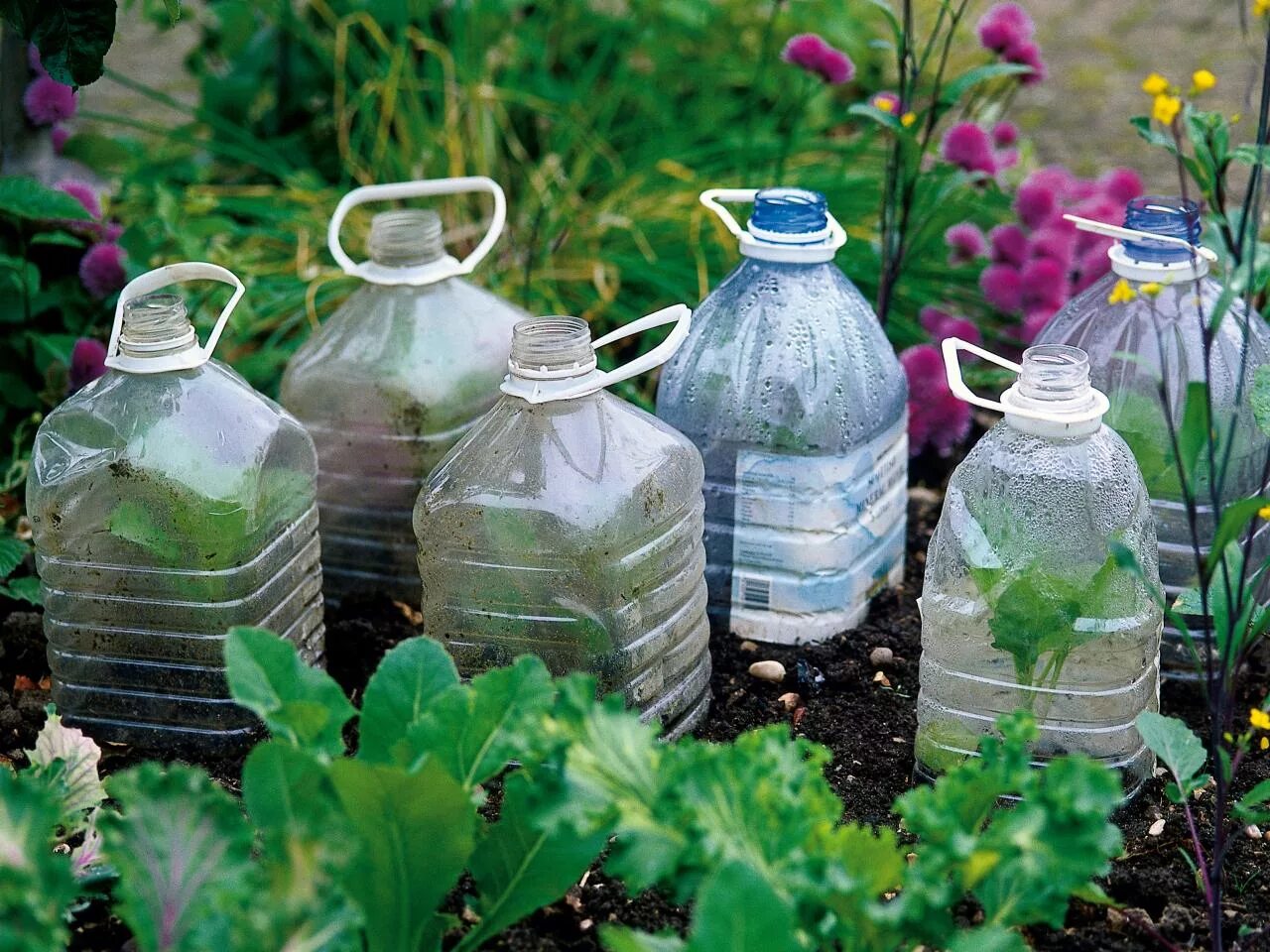 Сколько пятилитровых бутылок. Пластиковые бутылки в саду. Растения в пластиковых бутылках. Пластиковые бутылки на даче. Из бутылок для сада.