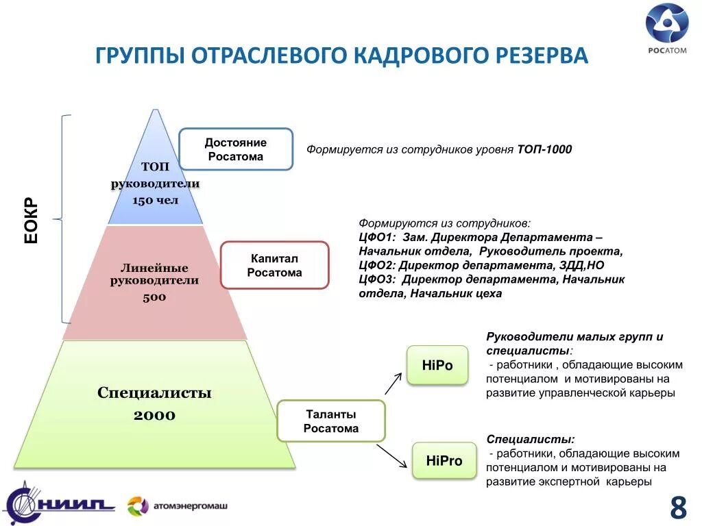 Цели формирования кадрового резерва. Формирование кадрового резерва руководства организацией. Уровни кадрового резерва. Программа развития кадрового резерва.