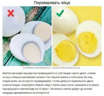 Можно ли йоркам яйцо вареное