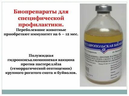 Вакцина пастереллеза сальмонеллеза