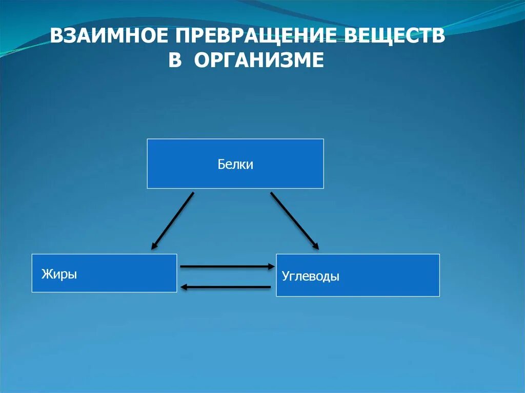 Преобразование белка. Превращение веществ в организме. Схема превращения органических веществ в организме. Превращение белков жиров и углеводов в организме. Превращение белков в углеводы и жиры.