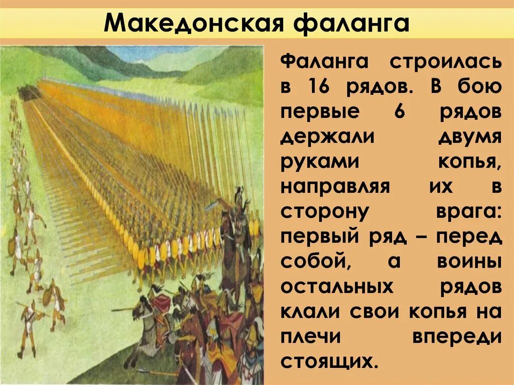 Как перед боем строилась македонская фаланга. Македонская фаланга 5 кл. Фаланга Филиппа Македонская Филиппа. Идеальная Македонская фаланга из 256 человек.