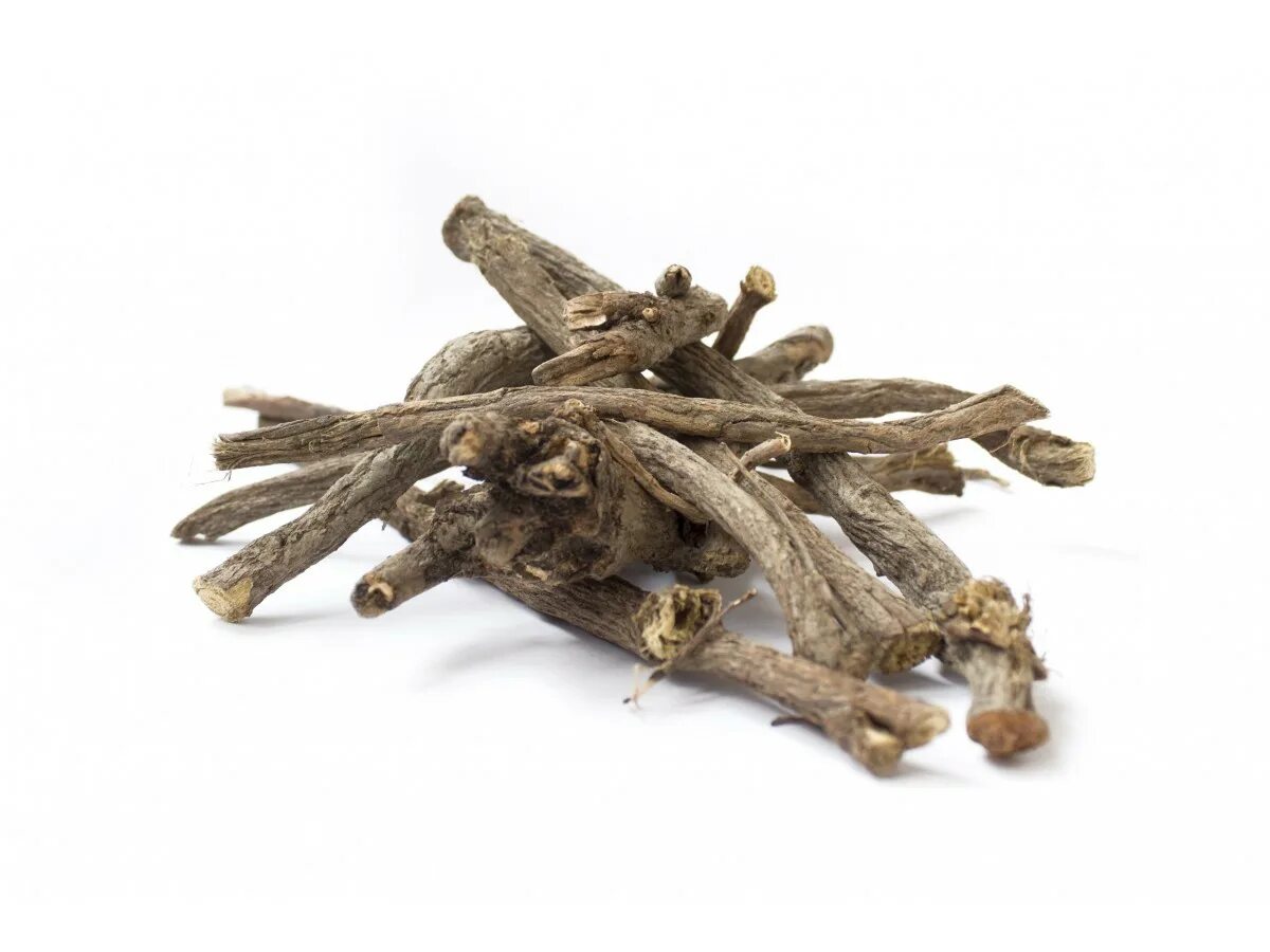 Астрагал корень купить. Glycyrrhiza glabra корень солодки. Корень астрагала. Glycyrrhiza glabra root. ЛРС корни солодки.