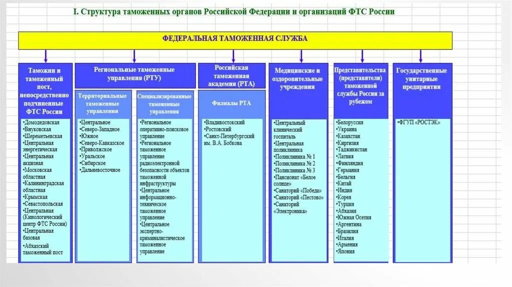 Учреждения таможенных органов. Структура ФТС России 2023. Структура таможенных органов РФ 2021. Структура таможенных органов РФ 2023. Структура таможни РФ.