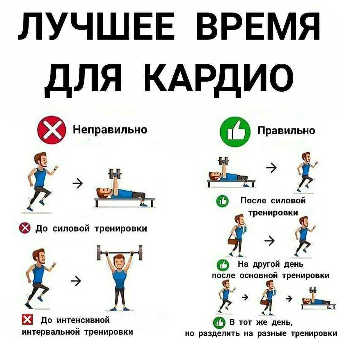 Лучшее кардио для похудения. Кардио упражнения. силовые упражнения для похудения. тренировки для сжигания жира. упражнения на каждый день.