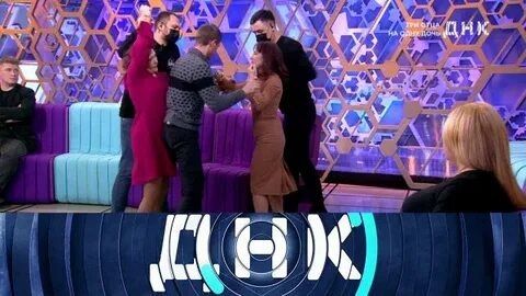 Днк 03.11 2023