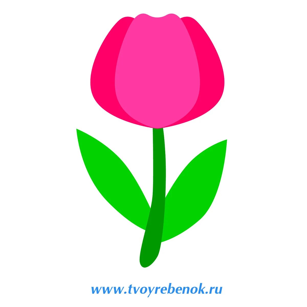 тюльпан раскраска. стебель тюльпана шаблоны. тюльпан трафарет для вырезани. трафареты тюльпаны. трафарет тюльпана для вырезания.