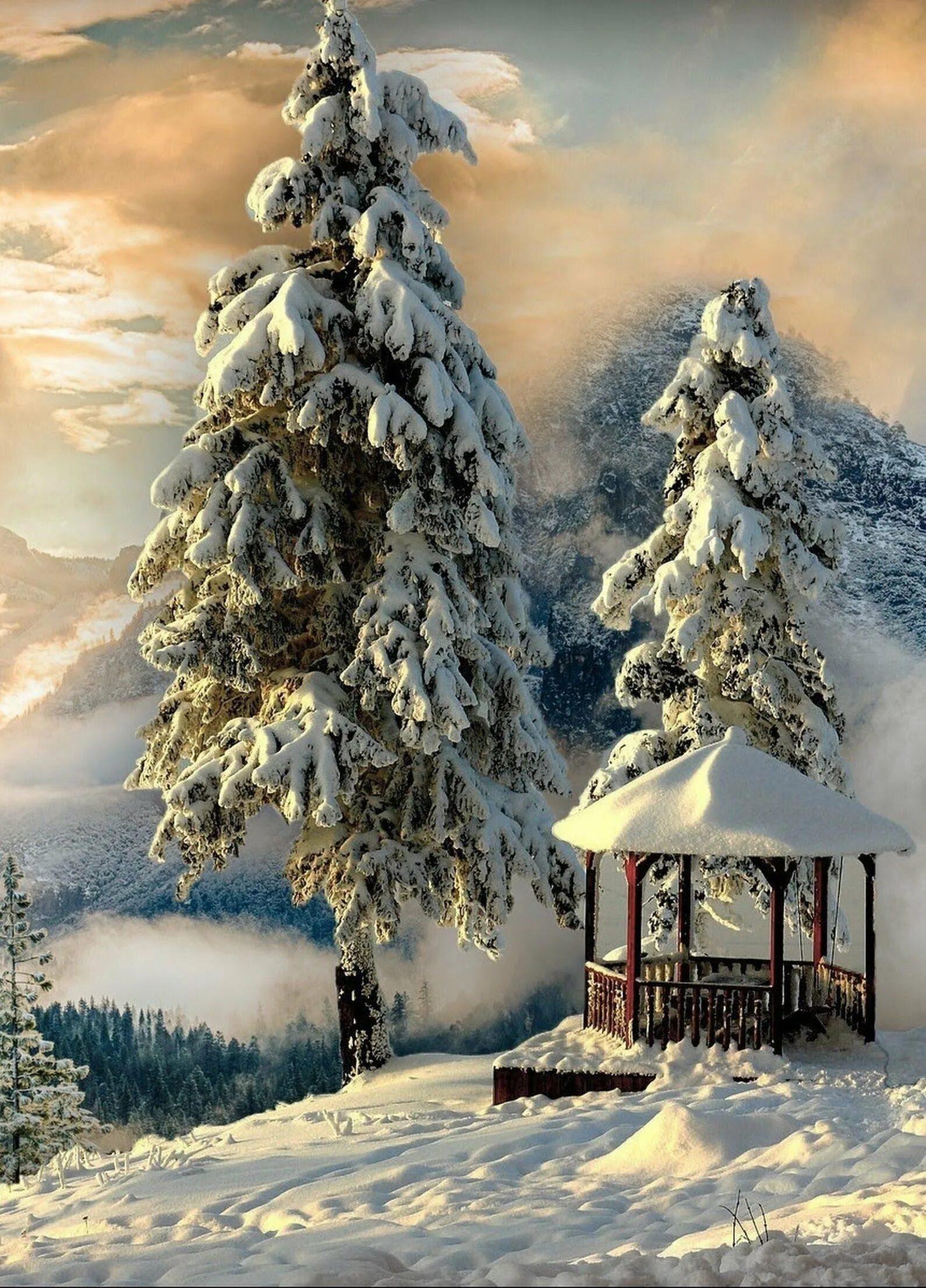 Фотография зимняя сказка