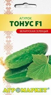 Сорт огурцов тонус