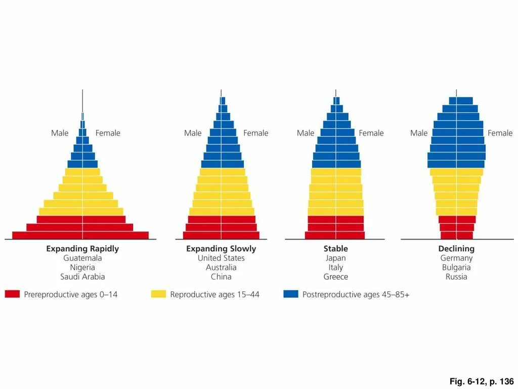 Population structure. Human population graph. age distribution on population. live population. male structure diagram.
