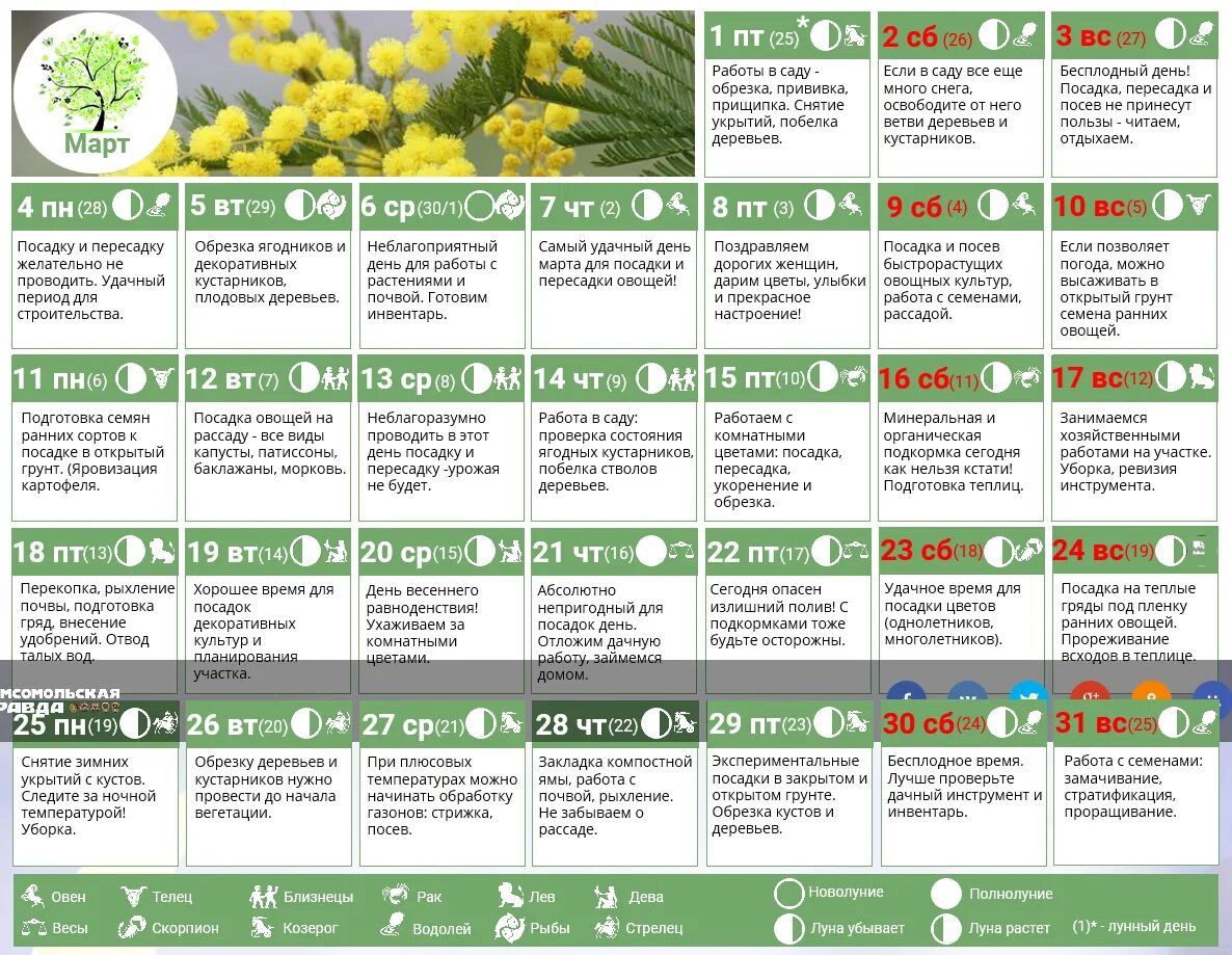 Лучшие дни для пересадки растений в марте. Хороший день для посадки цветов. Календарь посадки растений. Лунный календарь для цветов. Лунный календарь для комнатных растений.