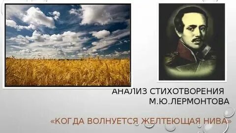 Когда цветет желтеющая нива