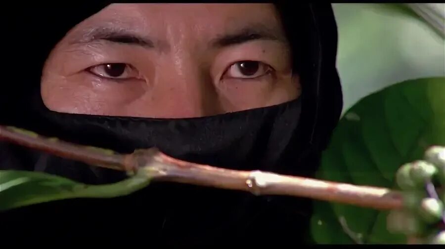 Enter the ninja speed
