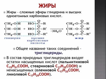 Высшие карбоновые кислоты жиры