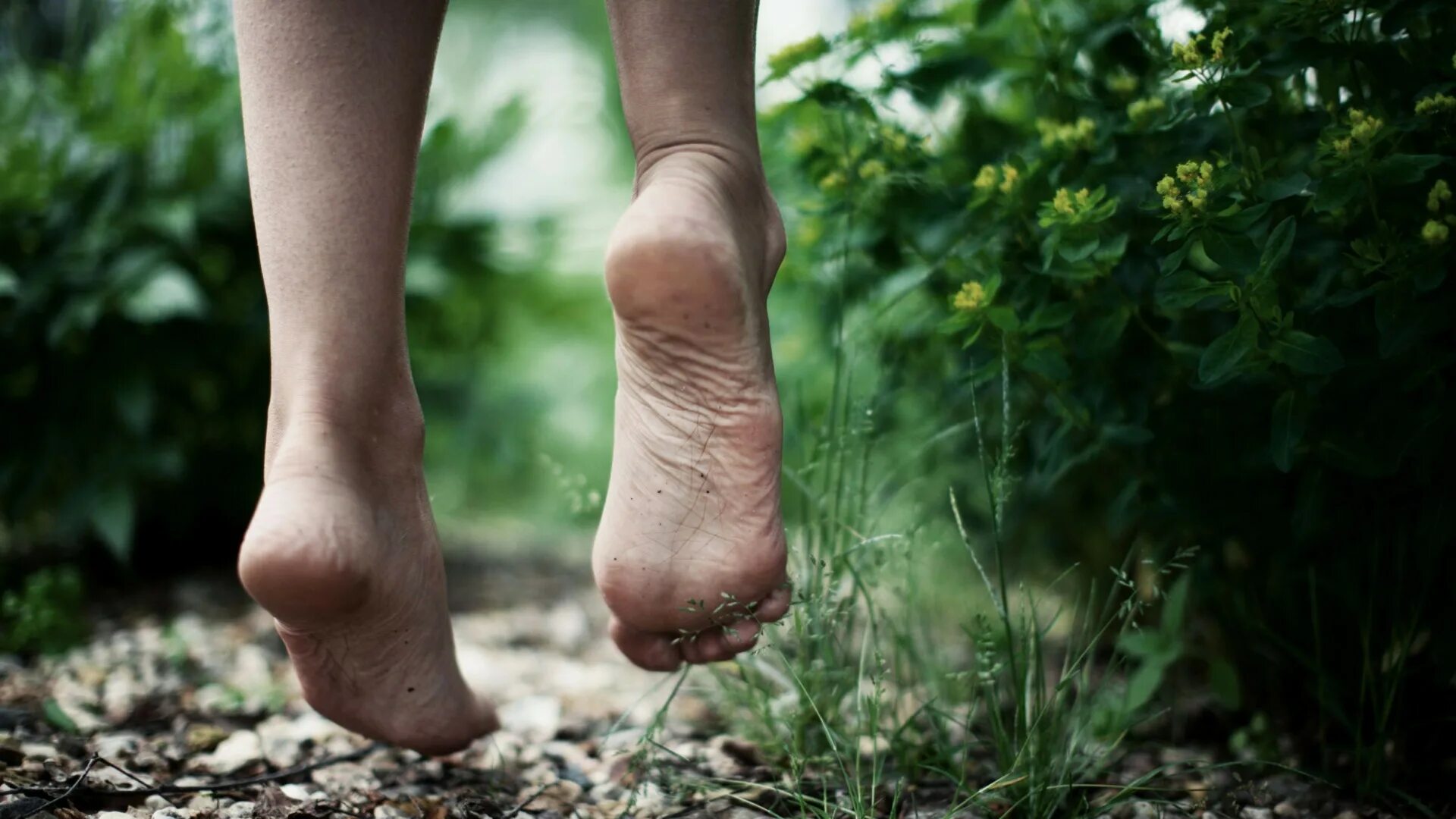 девушка босиком. босиком по траве. перемотка босиком. ноги босиком. босиком в школе.