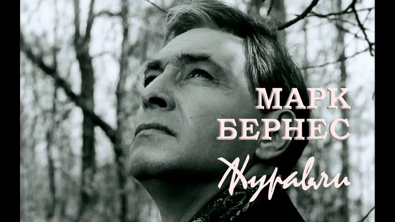 Песни в исполнение марка бернеса слушать. Журавли марка Бернеса. Бернес поет Журавли.